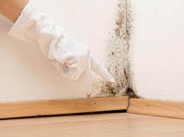 Best Water Damage & Mold Remediation  in USA